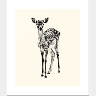 Fallow deer fawn Posters and Art